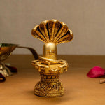 NaagShivling - my3ioNetra