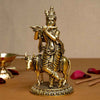 Shri Krishna Murti - my3ioNetra