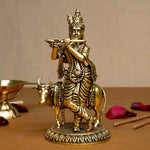 Shri Krishna Murti - my3ioNetra