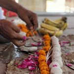 Perform Gaya Ji Pind Daan on Mauni Amavasya