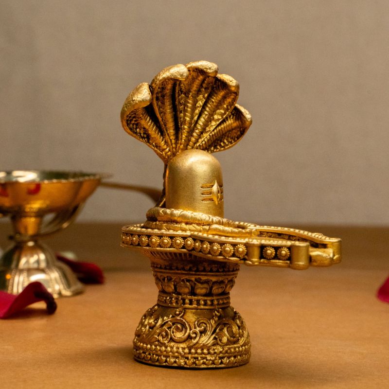 NaagShivling - my3ioNetra