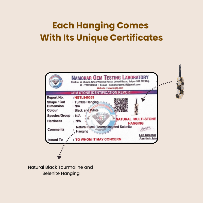 Black Tourmaline & Selenite Hanging