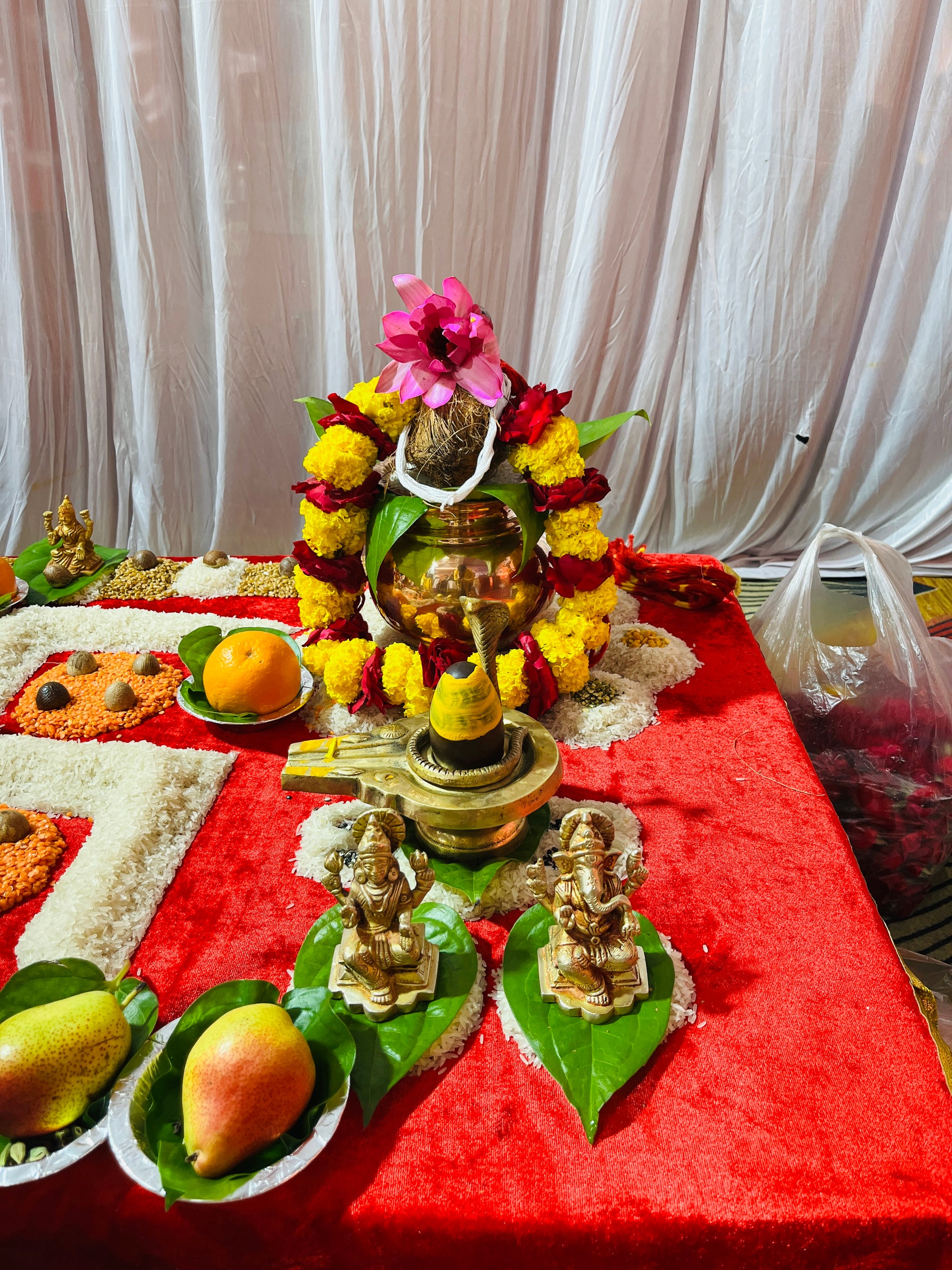 Navgrah Pujan - Mangalnath Mandir, Ujjain