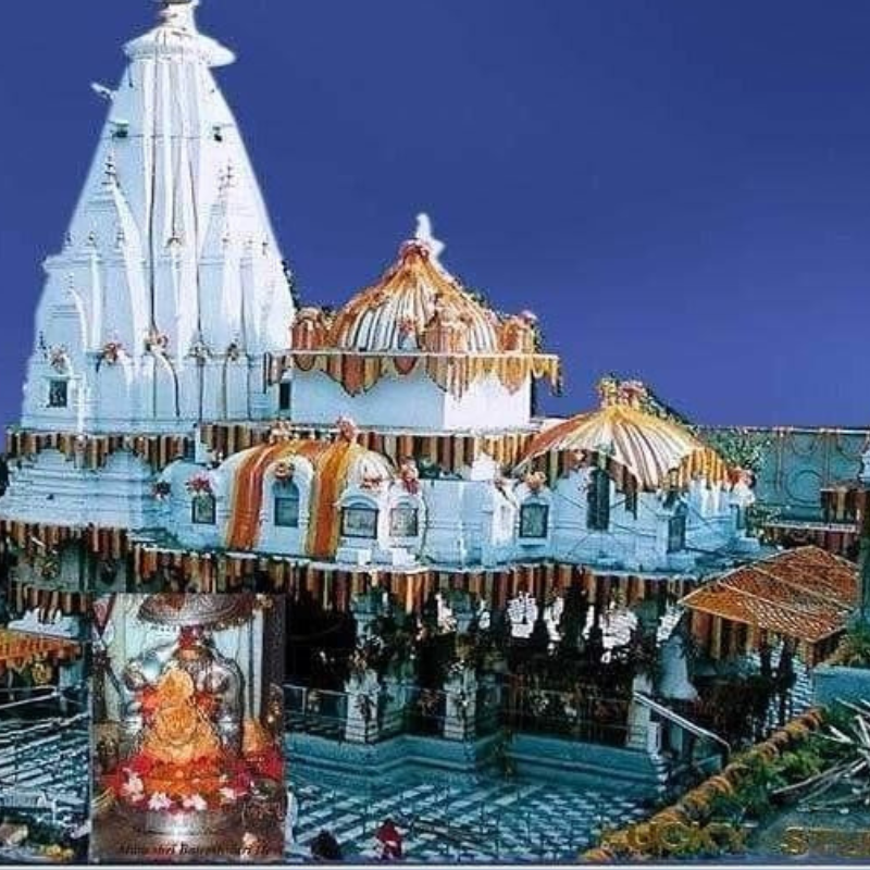 Janamdin pujan  - Shri Bajreshwari Temple