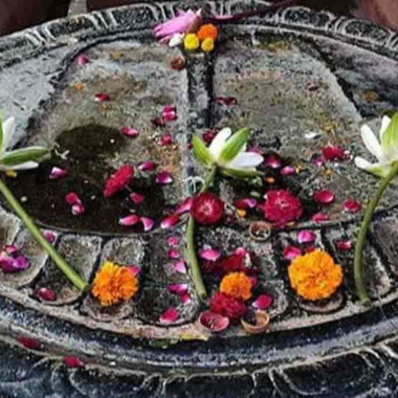 Sandya Aarti Chadava - Shri Vishnupad Temple, Gayaji, Bihar - my3ioNetra
